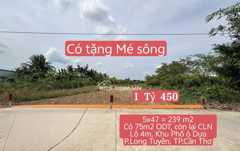 NỀN LỚN CÓ THỔ CƯ, KẾ PHỐ Ô DỰA, P.LONG TUYỀN, Q.BÌNH THỦY, TP.CẦN THƠ