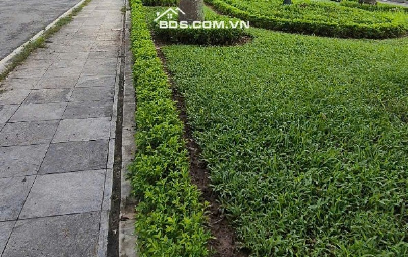Chính chủ bán nhà mặt phố Nguyễn Cơ Thạch 45mv SĐCC LH:0969148973.