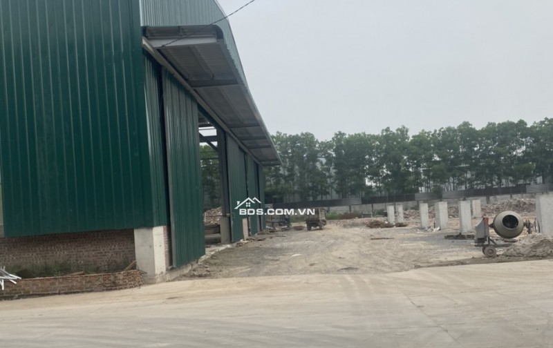 Cho thuê kho, xưởng sẵn DT 600m2 khu vực gần cầu Kiến An, dầm cẩu trục