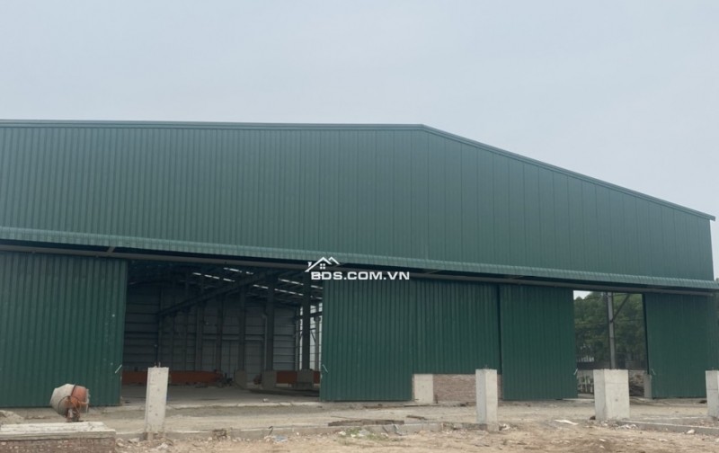 Cho thuê kho, xưởng sẵn DT 600m2 khu vực gần cầu Kiến An, dầm cẩu trục