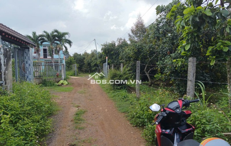 ĐẤT XUÂN QUẾ - DẦU GIÂY CHỈ 420 TRIỆU | 122m² CÓ THỔ CƯ