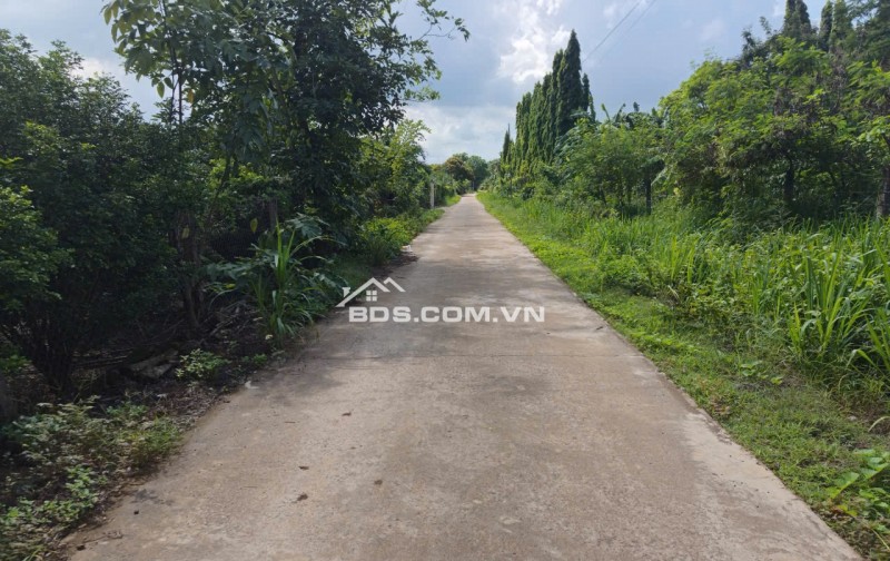 ĐẤT XUÂN QUẾ - DẦU GIÂY CHỈ 420 TRIỆU | 122m² CÓ THỔ CƯ