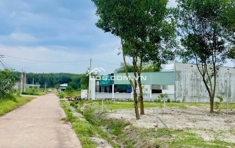 Bán đất nền vành đai khu công nghiệp Minh Hưng, diện tích 314 m2