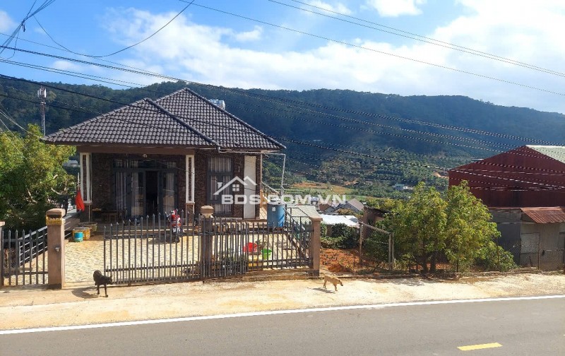 Chính chủ bán gấp 240m² đất mặt tiền Xuân Sơn, Xuân Trường, Đà Lạt.