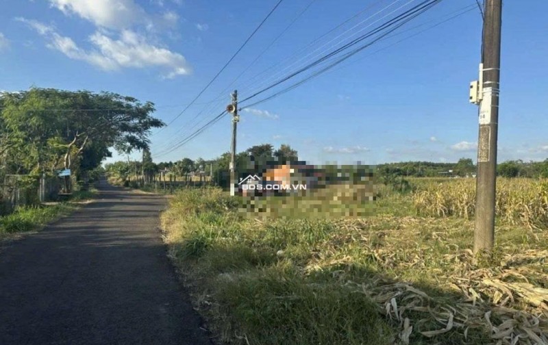 Bán đất tại Tân Thành, 5,2 tỷ, 1041 m2, mặt tiền 24,5m, ngõ 6m, giá ưu đãi, hot!