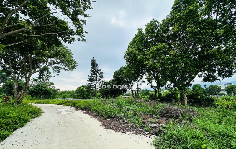 Bán cắt lỗ diện tích 502m2/100m2 ONT tại khu nghỉ dưỡng OASIS Nhuận Trạch, Lương Sơn. Giá 3.3 tỷ