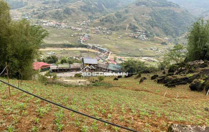  QUỸ ĐẤT HIẾM TẠI SAPA – VIEW TOÀN CẢNH THUNG LŨNG MƯỜNG HOA