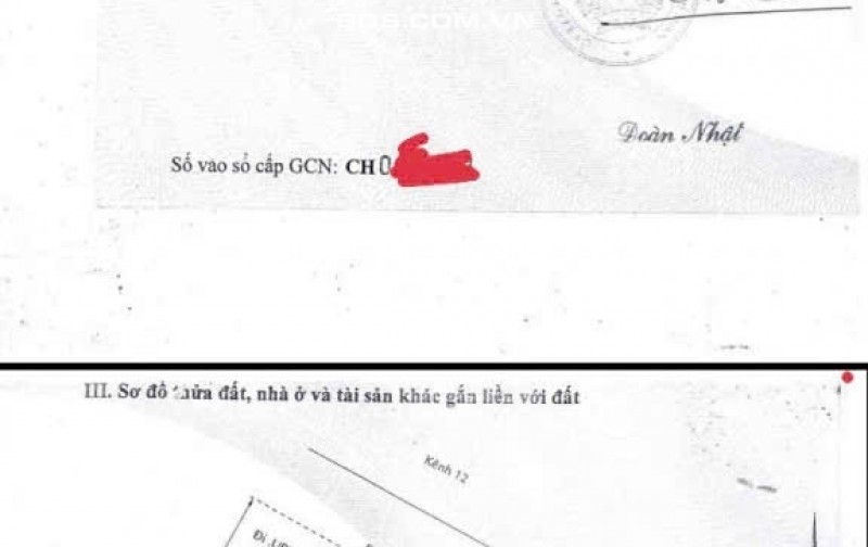 Mặt tiền kinh doanh Bình Chánh 250m2 thổ cư có sổ dòng tiền