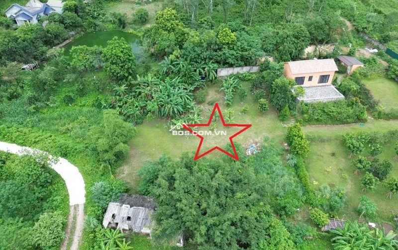 SIÊU PHẨM NGHỈ DƯỠNG 1411M2 CÓ 200M2 CẠNH HOMESTAY ĐẸP, GẦN ĐƯỜNG VÀNH ĐAI 5, GIÁ CỰC RẺ