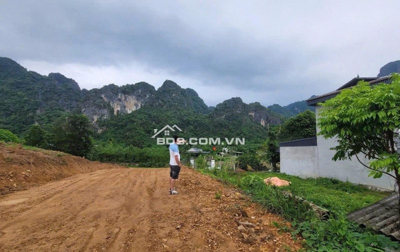 bán đất nghỉ dưỡng 1,6HA. 600k/m2. bám đường bê tông 50m, gần nghỉ dưỡng serena