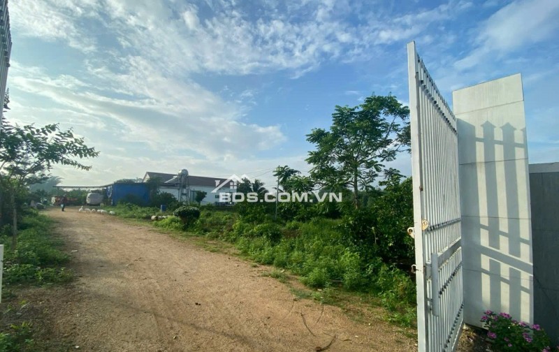Bán đất dọc Sông Ray, Cẩm Mỹ, Đồng Nai_ Trên đất có dự án Nông Ngiệp