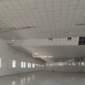 Cho thuê kho, văn phòng 770m2, 1700m2, 2500m2 Phan Huy Ích, Tân Bình