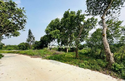 Săn đất nhà vườn giá tốt diện tích 502m² tại Lương Sơn không gian thoáng đẹp