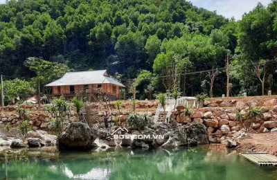Mảnh đất 5500m cần bán có ao , có suối ,có view đẹp tại Lương Sơn Hòa Bình