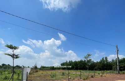 CHỈ 500 TRIỆU SỞ HỮU NGAY 500m² ĐẤT VĨNH AN – KHÓ TÌM GIÁ TỐT HƠN!