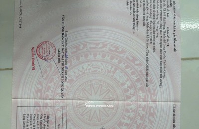BÁN ĐẤT 3 CÔNG ĐẤT XÃ MỸ HOÀ HƯNG, TP LONG XUYÊN SHR CHỈ 750 TRIỆU. LH:0977226448