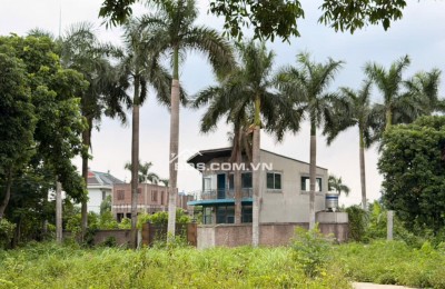 Bán cắt lỗ diện tích 502m2/100m2 ONT tại khu nghỉ dưỡng OASIS Nhuận Trạch, Lương Sơn. Giá 3.3 tỷ