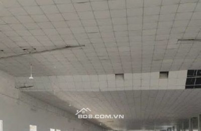 Cho thuê kho, văn phòng 770m2, 1700m2, 2500m2 Phan Huy Ích, Tân Bình