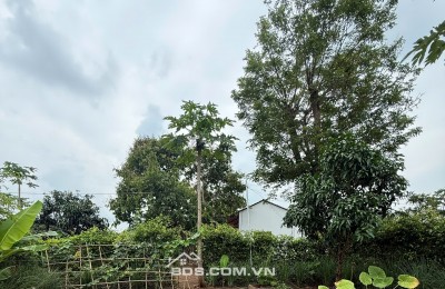 Bán lô dất đẹp 400m2 tại Bà Rịa Vũng Tàu, sổ hồng sang tên nhanh chóng