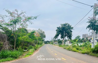 BÁN ĐẤT VƯỜN LONG TÂN - ĐÓN SÓNG CAO TỐC BIÊN HÒA VŨNG TÀU - CHỈ 3.5 TỶ