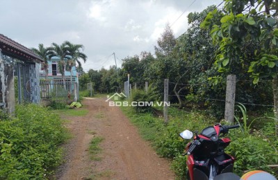 ĐẤT XUÂN QUẾ - DẦU GIÂY CHỈ 420 TRIỆU | 122m² CÓ THỔ CƯ