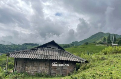 Bán đất 1.235m² bản tả van, sa pa – 316m² đất ở, view ruộng bậc thang đẹp