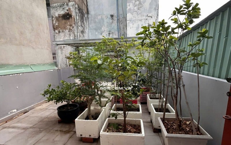 Nhà đẹp mặt tiền 21C Nguyễn Văn Khối phường Thông Tây Hội, TPHCM ( p11,Gò Vấp cũ) DT: 4 x 24 m