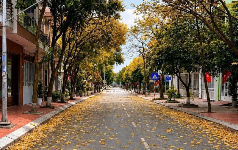 Cần bán đất mặt phố Ngô Hoán , khu đô thị phía Đông Nam Cường - TP Hải Dương ( Cũ )