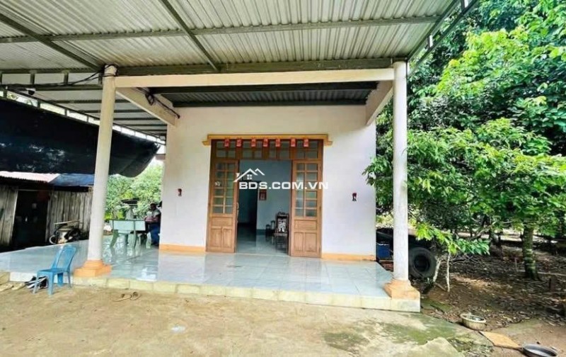 Cần bán đất vườn trái cây sẵn nhà cấp 4 ở Bình Dương, rộng 2500m2, thổ cư, giá rẻ 680tr