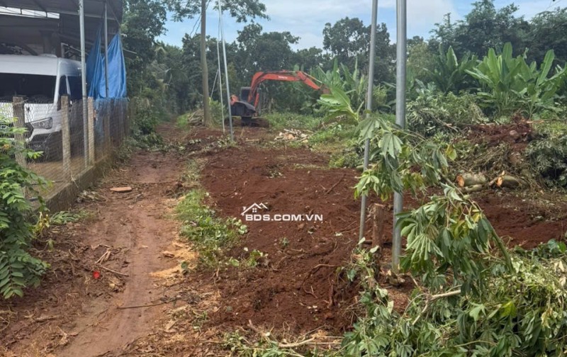 Cần bán lô đất nền 5x30 Cẩm Mỹ Đồng Nai mặt tiền đường nhựa 9m đã có sổ