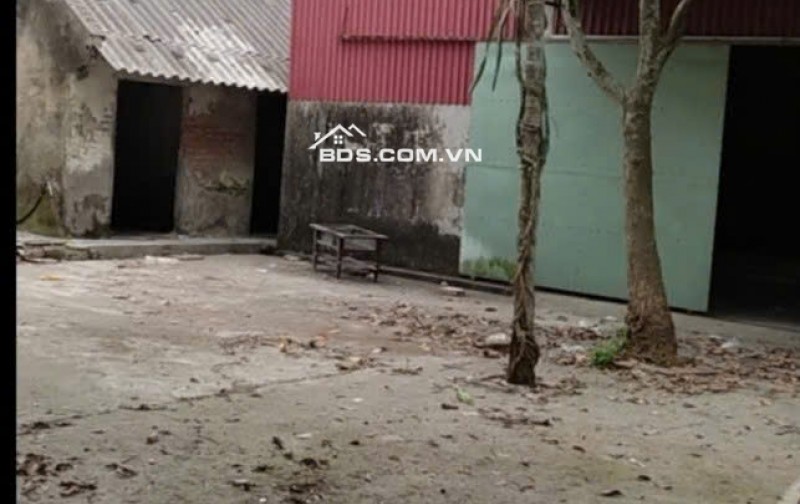 BÁN ĐẤT HUYỆN NINH GIANG, HẢI DƯƠNG, DT 407M2 - SỔ ĐỎ - 1.6 TỶ. LH:0375740010