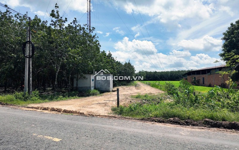 ĐẤT BẾN CẦU TÂY NINH 11.282M2 CHỈ 3TY5, VỊ TRÍ ĐẸP, SỔ TRAO TAY. CHÍNH CHỦ 0988882003.
