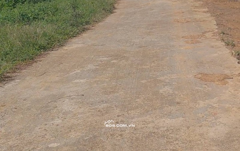 7 lô FO chỉ 6xx 1 lô có 500m trong đó có 143m thổ cư