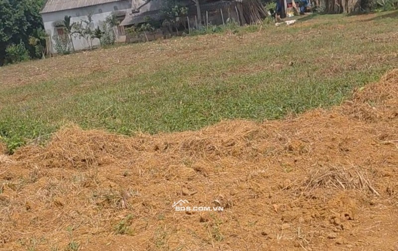 7 lô FO chỉ 6xx 1 lô có 500m trong đó có 143m thổ cư