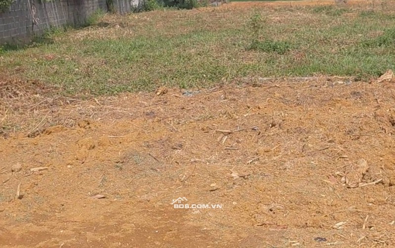 7 lô FO chỉ 6xx 1 lô có 500m trong đó có 143m thổ cư