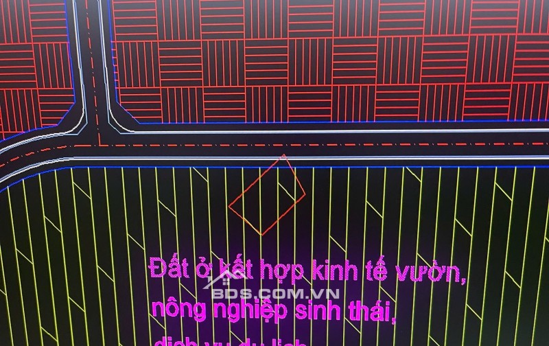 Rẻ Như Cho 3tr/m2.  Bán. Đất CLN TP.Thủ Đức ( Q.9 cũ )