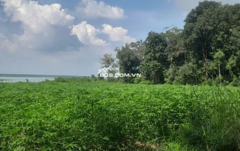 Bán đất xã Minh Hòa view Hồ Dầu Tiếng Bình Dương giá 47 tỷ