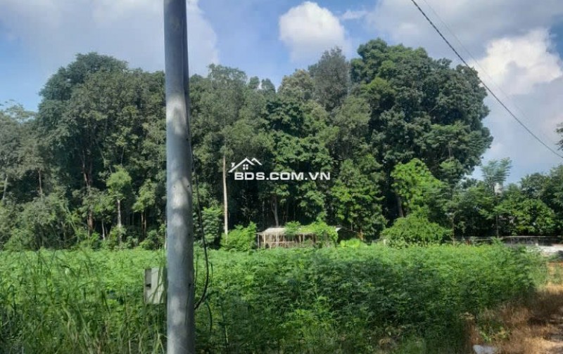 Bán đất xã Minh Hòa view Hồ Dầu Tiếng Bình Dương giá 47 tỷ