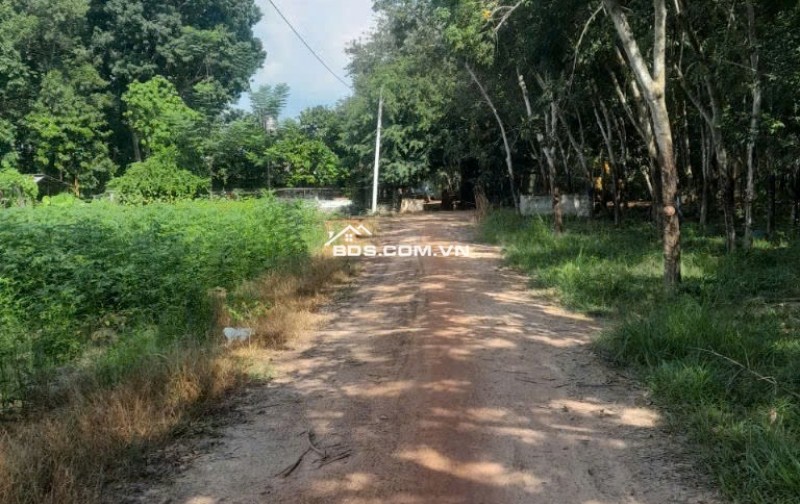 Bán đất xã Minh Hòa view Hồ Dầu Tiếng Bình Dương giá 47 tỷ