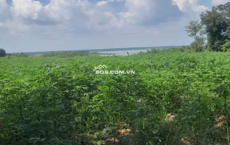 Bán đất xã Minh Hòa view Hồ Dầu Tiếng Bình Dương giá 47 tỷ