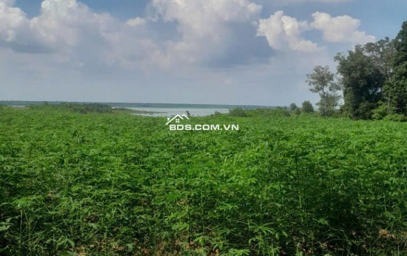 Bán đất xã Minh Hòa view Hồ Dầu Tiếng Bình Dương giá 47 tỷ