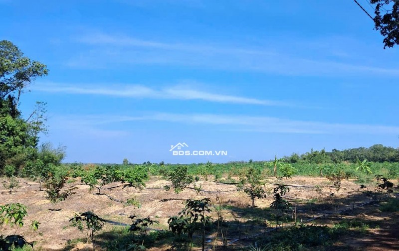 Bán đất xã Minh Hòa view Hồ Dầu Tiếng Bình Dương giá 47 tỷ