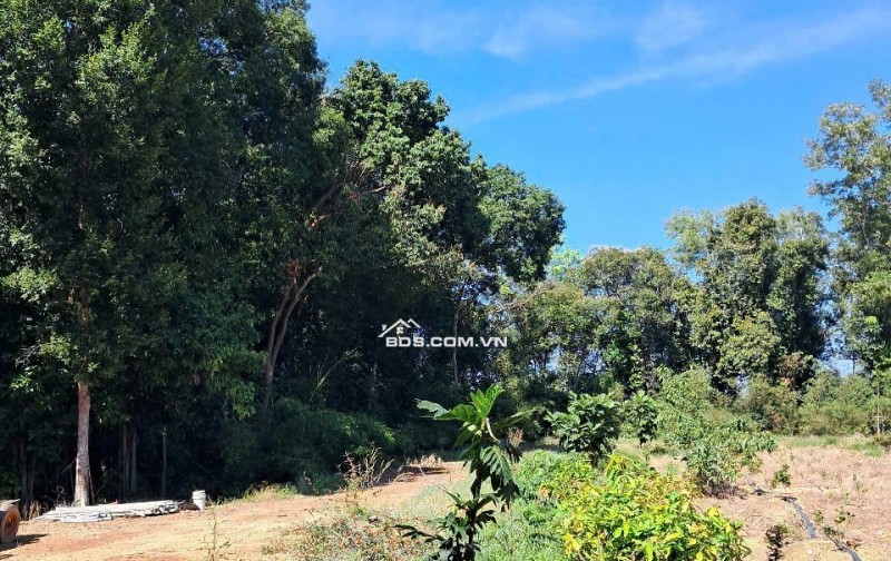Bán đất xã Minh Hòa view Hồ Dầu Tiếng Bình Dương giá 47 tỷ
