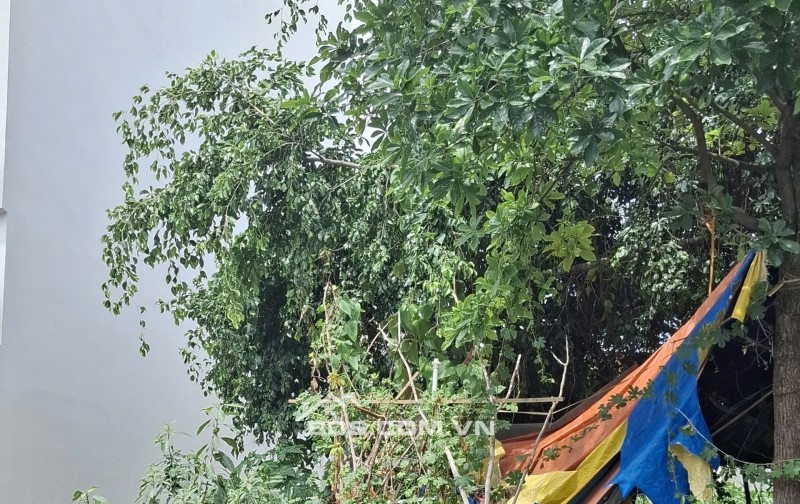 Bán đất hẻm ô tô đường 5 Bình Trưng Đông TP Thủ Đức