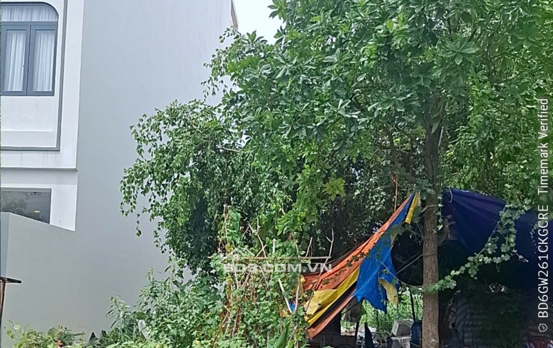 Bán đất hẻm ô tô đường 5 Bình Trưng Đông TP Thủ Đức