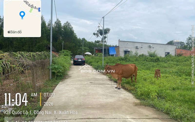 Cần Bán đất ngân hàng thanh lý.hẻm phụ bê tông 4m.