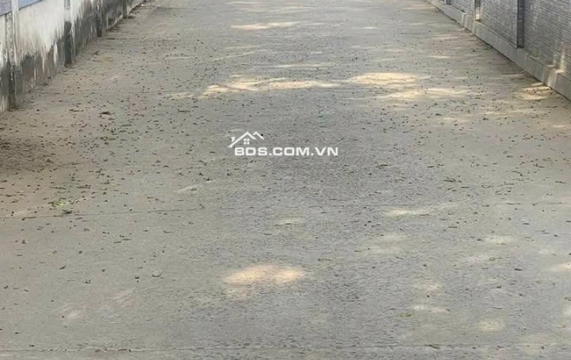 Chủ Cần Bán Gấp Lô đất Phước Thiền phường Nhơn Trạch Thành phố Đồng Nai