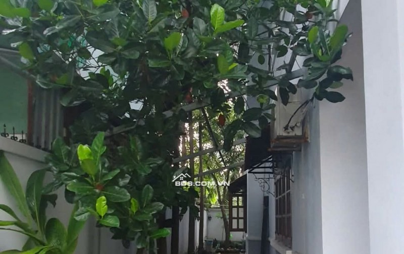 Cần bán nhà Biệt Thự 152B lộ Tẻ , phường Tân Tạo. Bình Tân