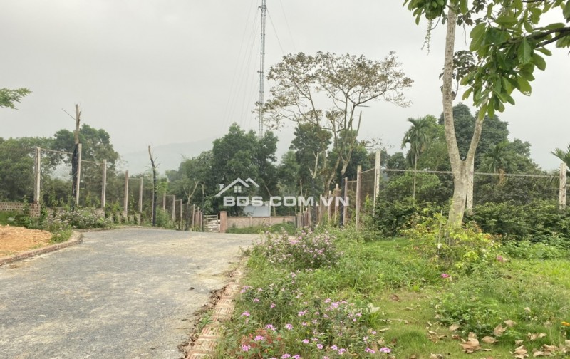 CẮT LỖ! nhỉnh 2 triệu 1m2! 4.899m2 (ont + Cln) trung tâm Cư Yên, cạnh khu nghỉ dưỡng vip nhất khu vực, view tuyệt đẹp.