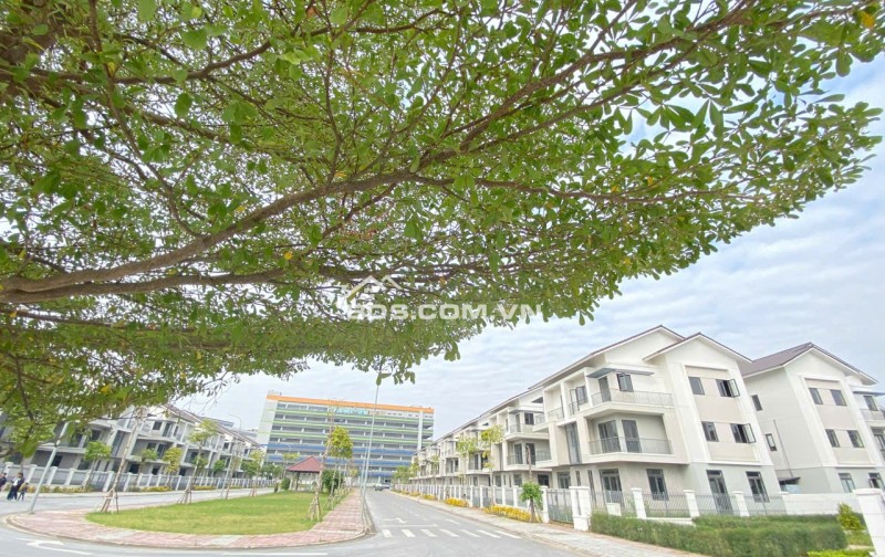  Đón sóng Bắc Ninh lên TP trực thuộc TW – Sở hữu song lập view công viên Centa Riverside